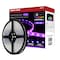 Nuvo Dimension Pro Tape Light Strip 32 ft. RGB + Tunable White - Plug - IP65 - Starfish IOT - RF Remote 64/141 - alternate 1